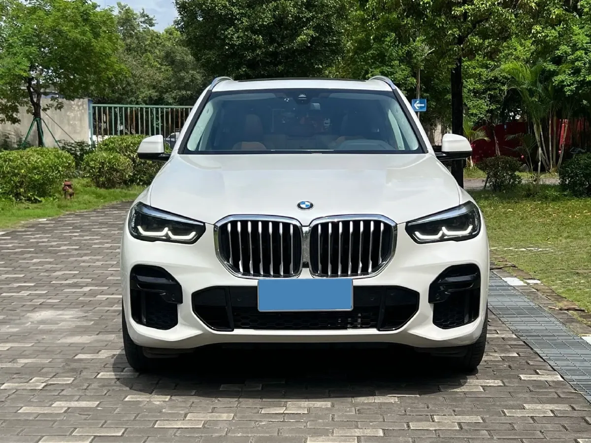 2022 BMW X5 2.0T 245HP L4 8AT,autocango,china used car exporter,china ev exporter,chinese used car exporter,chinese used ev exporter