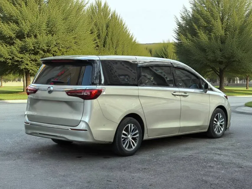 2021 Buick GL8 2.0T 237HP L4 9AT,autocango,china used car exporter,china ev exporter,chinese used car exporter,chinese used ev exporter