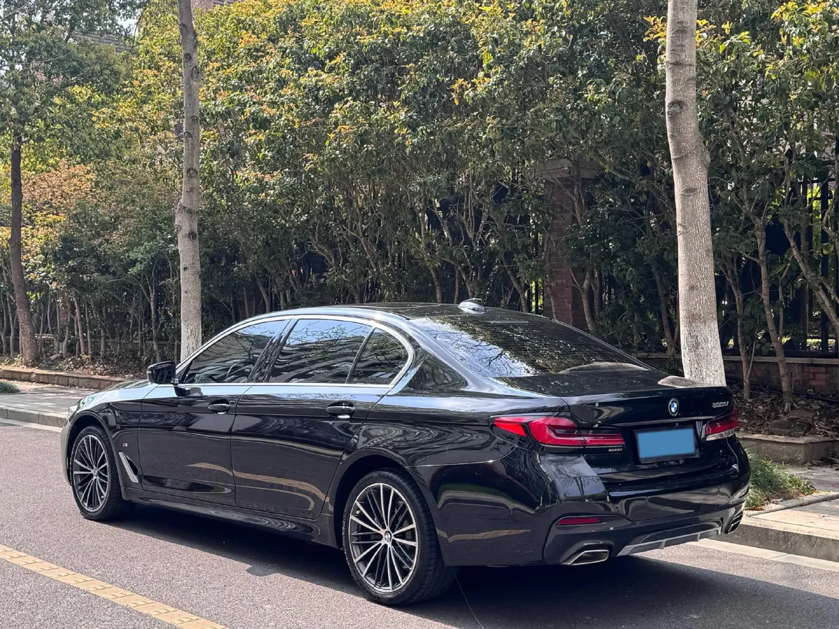 2021 BMW 5 Series 2.0T 252HP L4 8AT,autocango,china used car exporter,china ev exporter,chinese used car exporter,chinese used ev exporter