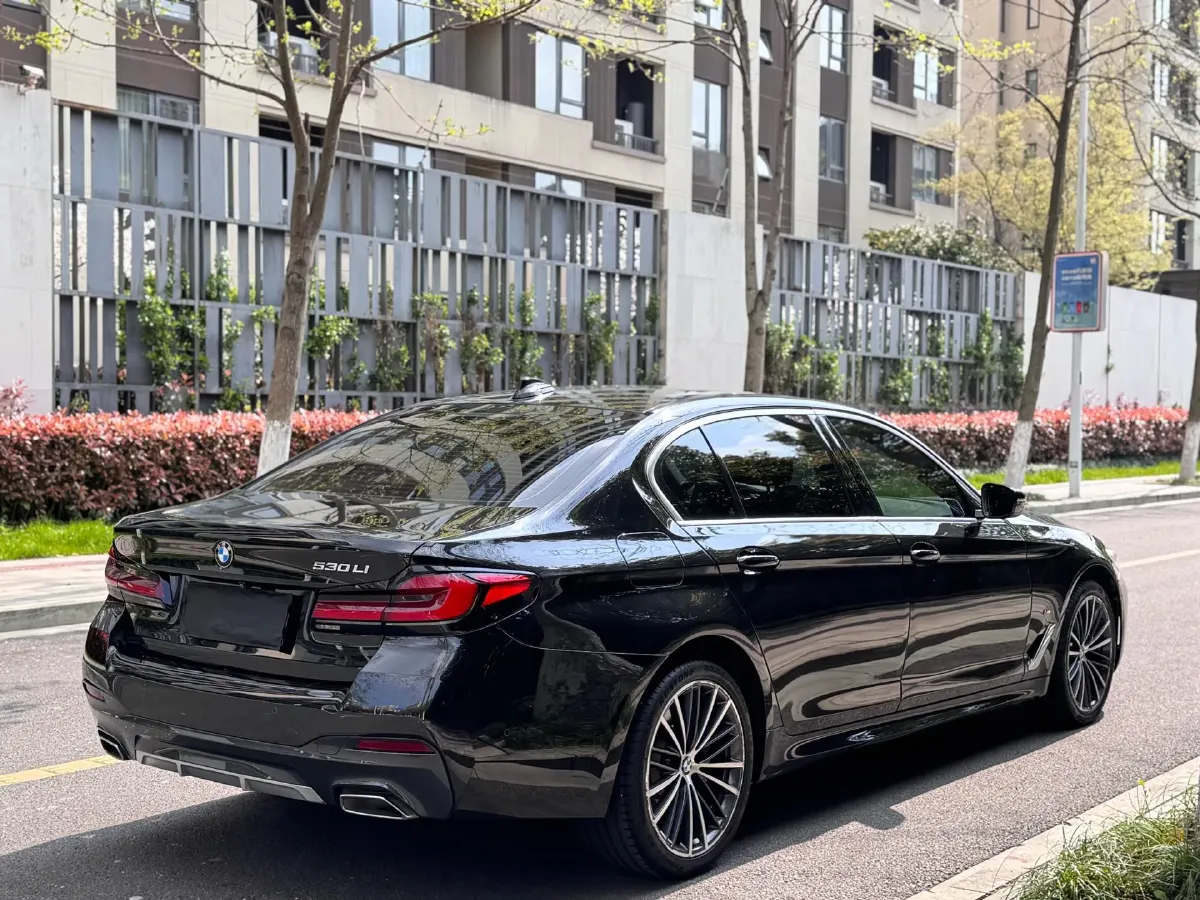 2021 BMW 5 Series 2.0T 252HP L4 8AT,autocango,china used car exporter,china ev exporter,chinese used car exporter,chinese used ev exporter