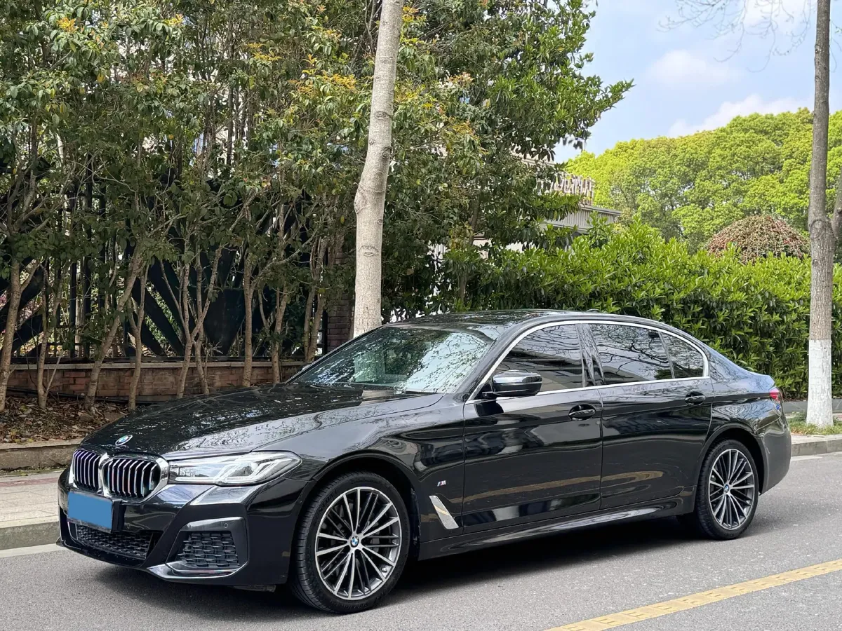 2021 BMW 5 Series 2.0T 252HP L4 8AT,autocango,china used car exporter,china ev exporter,chinese used car exporter,chinese used ev exporter