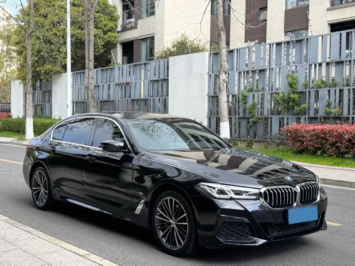 2021 BMW 5 Series 2.0T 252HP L4 8AT,autocango,china used car exporter,china ev exporter,chinese used car exporter,chinese used ev exporter