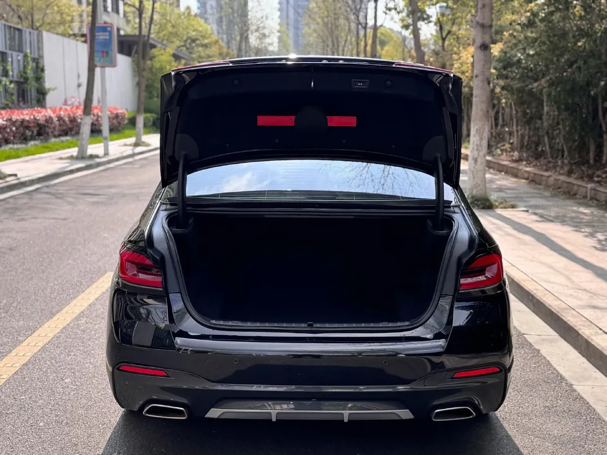 2021 BMW 5 Series 2.0T 252HP L4 8AT,autocango,china used car exporter,china ev exporter,chinese used car exporter,chinese used ev exporter