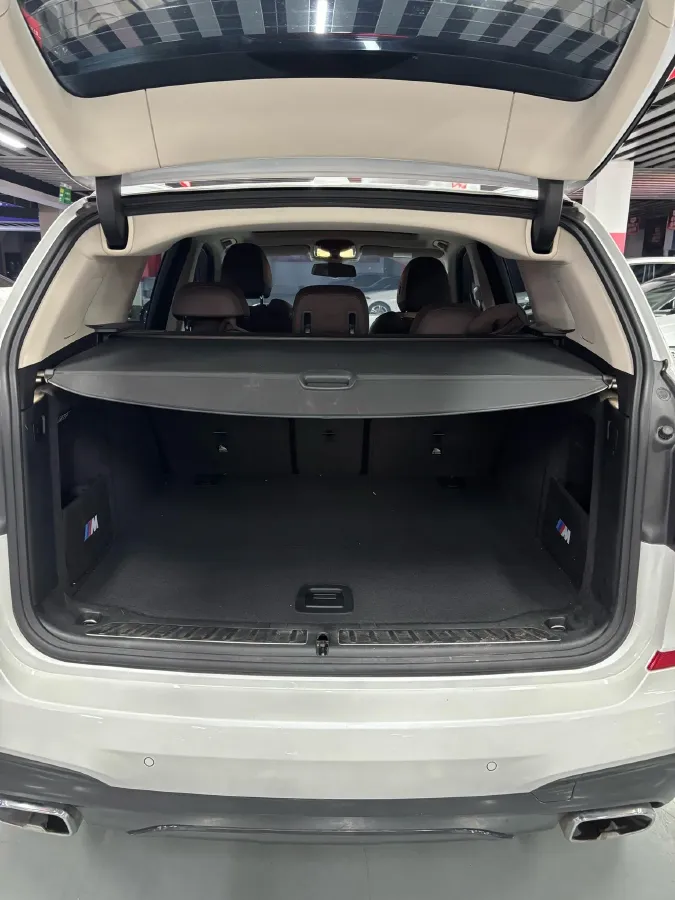 2021 BMW X3 2.0T 224HP L4 8AT,autocango,china used car exporter,china ev exporter,chinese used car exporter,chinese used ev exporter