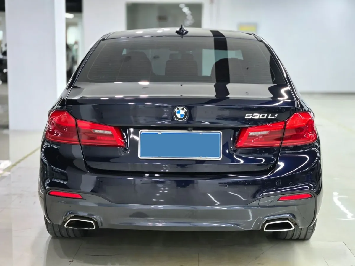 2020 BMW 5 Series 2.0T 252HP L4 8AT,autocango,china used car exporter,china ev exporter,chinese used car exporter,chinese used ev exporter