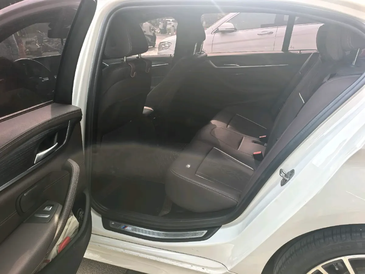 2021 BMW 5 Series 2.0T 252HP L4 8AT,autocango,china used car exporter,china ev exporter,chinese used car exporter,chinese used ev exporter