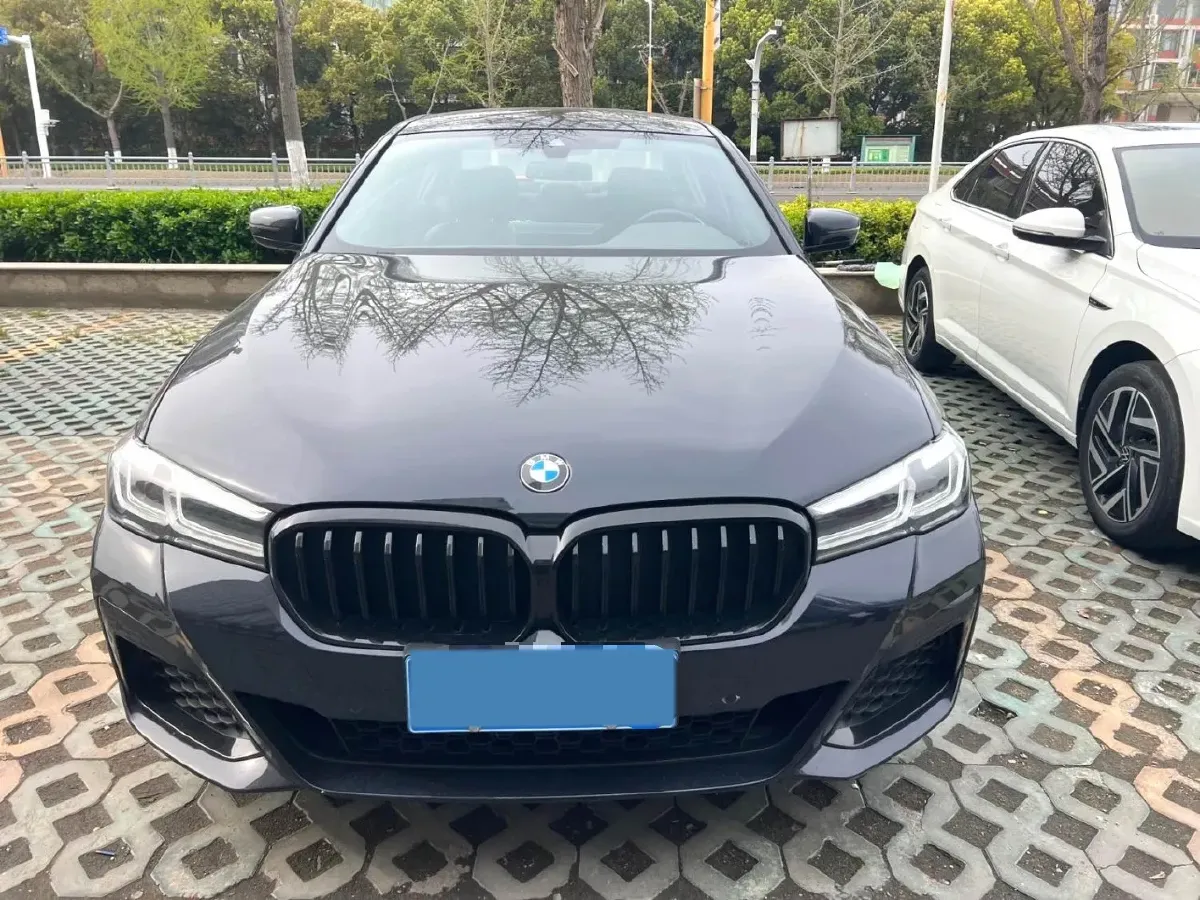 2021 BMW 5 Series 2.0T 184HP L4 8AT,autocango,china used car exporter,china ev exporter,chinese used car exporter,chinese used ev exporter