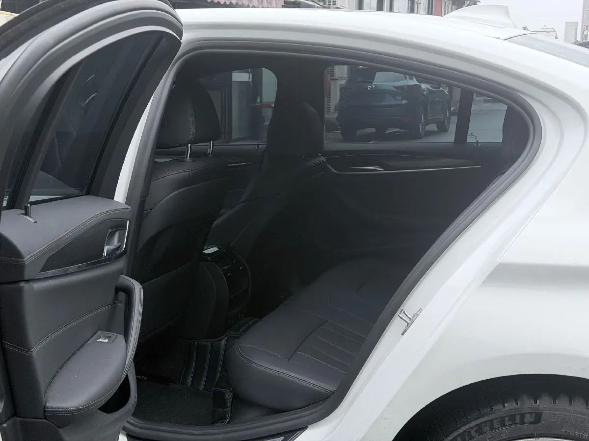 2022 BMW 5 Series 2.0T 184HP L4 8AT,autocango,china used car exporter,china ev exporter,chinese used car exporter,chinese used ev exporter