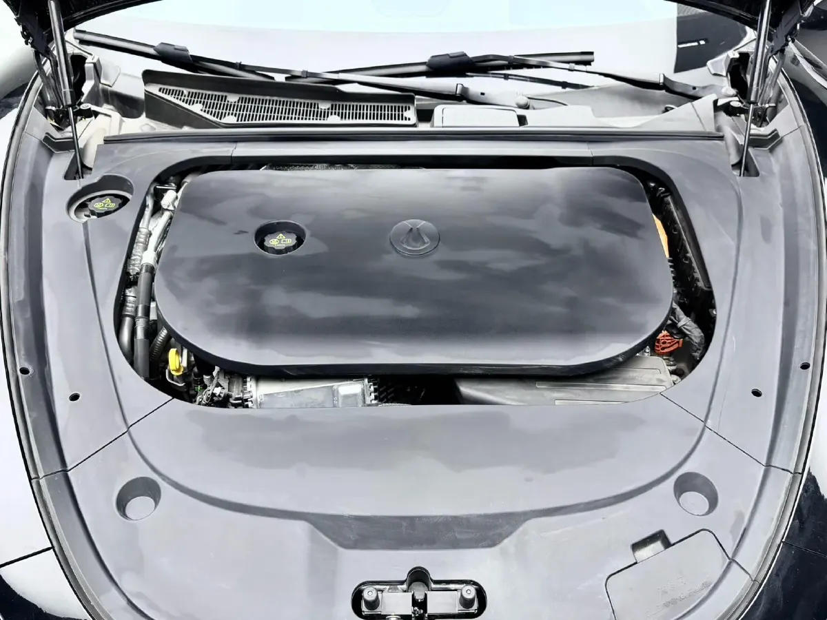 2024 Denza DenzaZ9 2.0T 207HP L4 E-CVT PHEV 38.5KWH,autocango,china used car exporter,china ev exporter,chinese used car exporter,chinese used ev exporter