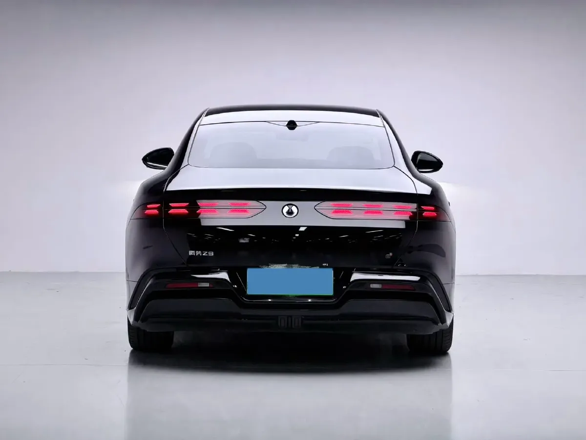 2024 Denza DenzaZ9 2.0T 207HP L4 E-CVT PHEV 38.5KWH,autocango,china used car exporter,china ev exporter,chinese used car exporter,chinese used ev exporter