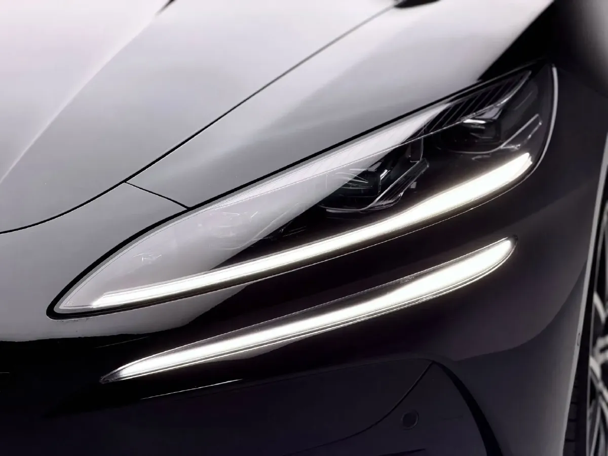 2024 Denza DenzaZ9 2.0T 207HP L4 E-CVT PHEV 38.5KWH,autocango,china used car exporter,china ev exporter,chinese used car exporter,chinese used ev exporter