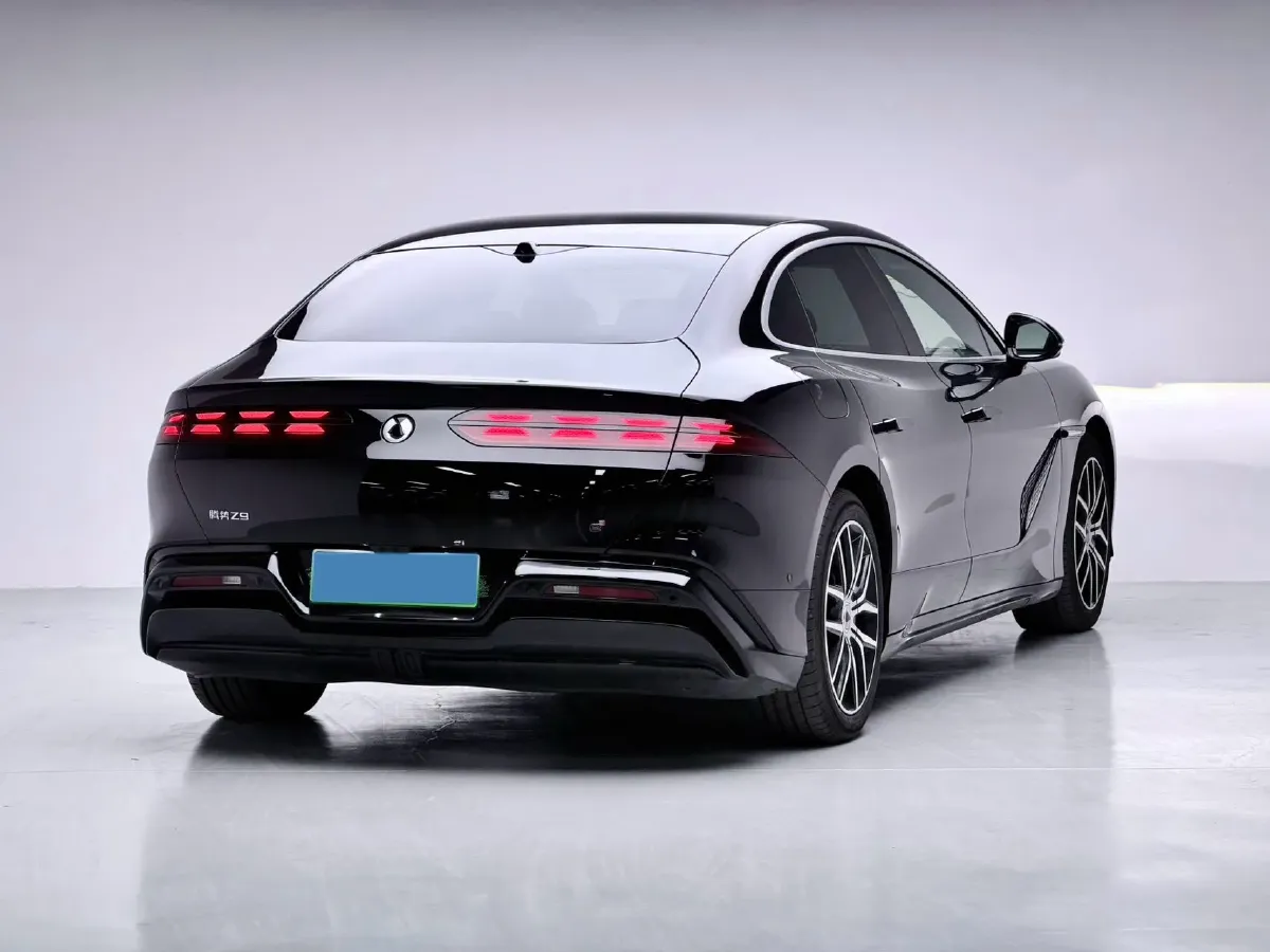 2024 Denza DenzaZ9 2.0T 207HP L4 E-CVT PHEV 38.5KWH,autocango,china used car exporter,china ev exporter,chinese used car exporter,chinese used ev exporter
