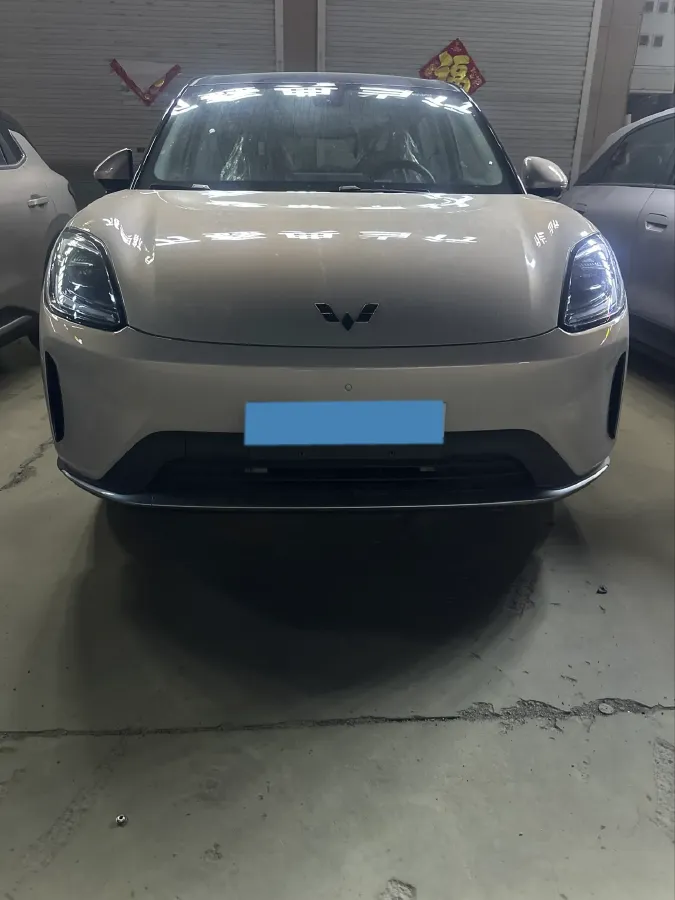 2025 WuLing BinGuo BEV,autocango,china used car exporter,china ev exporter,chinese used car exporter,chinese used ev exporter