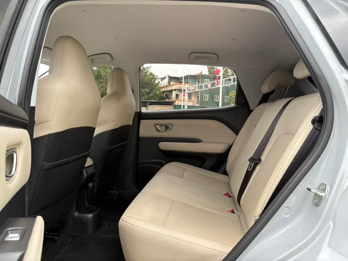 2024 WuLing BinGuoPLUS BEV 31.9KWH,autocango,china used car exporter,china ev exporter,chinese used car exporter,chinese used ev exporter