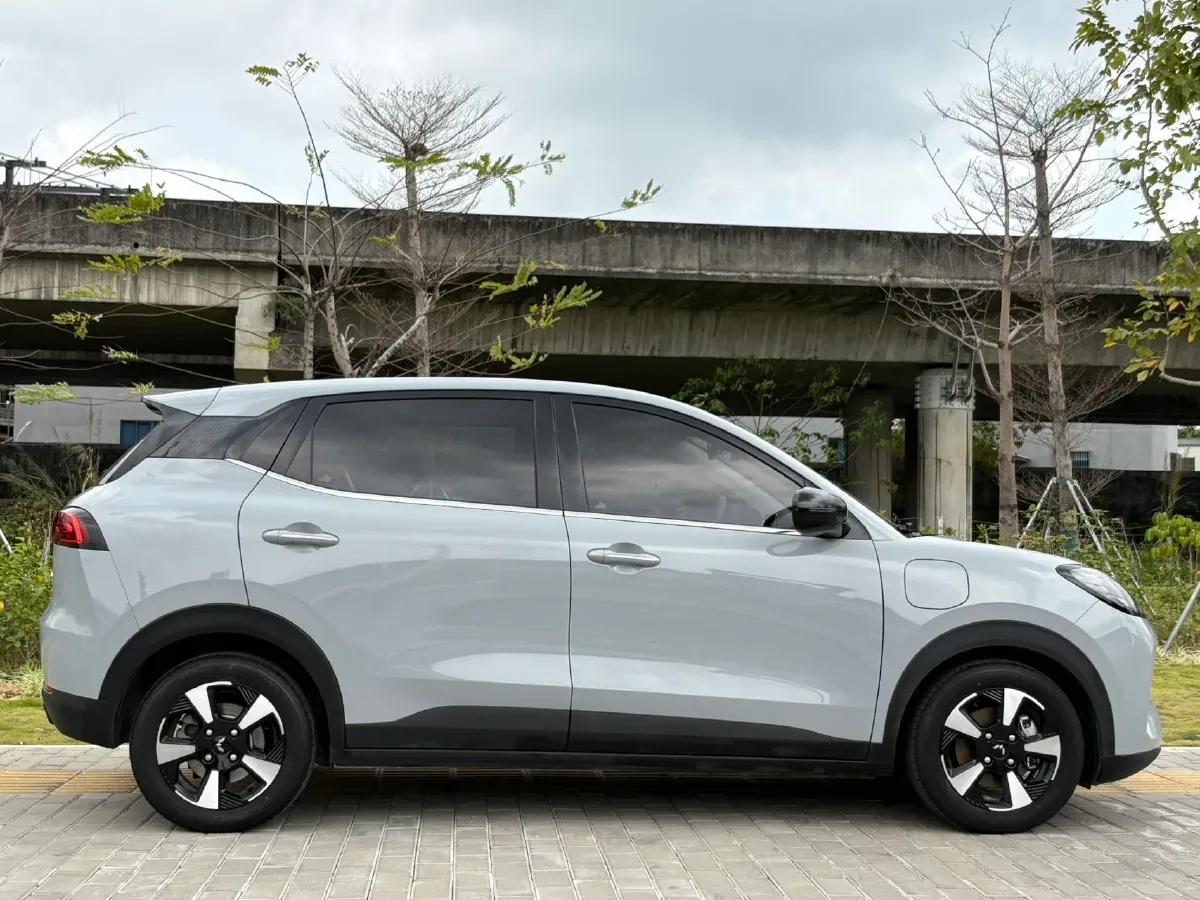 2024 WuLing BinGuoPLUS BEV 31.9KWH,autocango,china used car exporter,china ev exporter,chinese used car exporter,chinese used ev exporter
