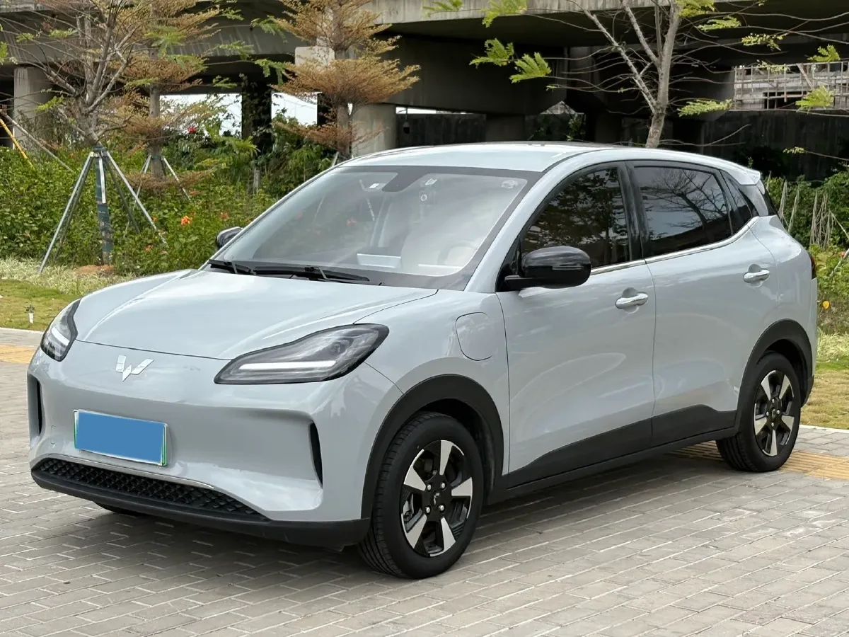 2024 WuLing BinGuoPLUS BEV 31.9KWH,autocango,china used car exporter,china ev exporter,chinese used car exporter,chinese used ev exporter