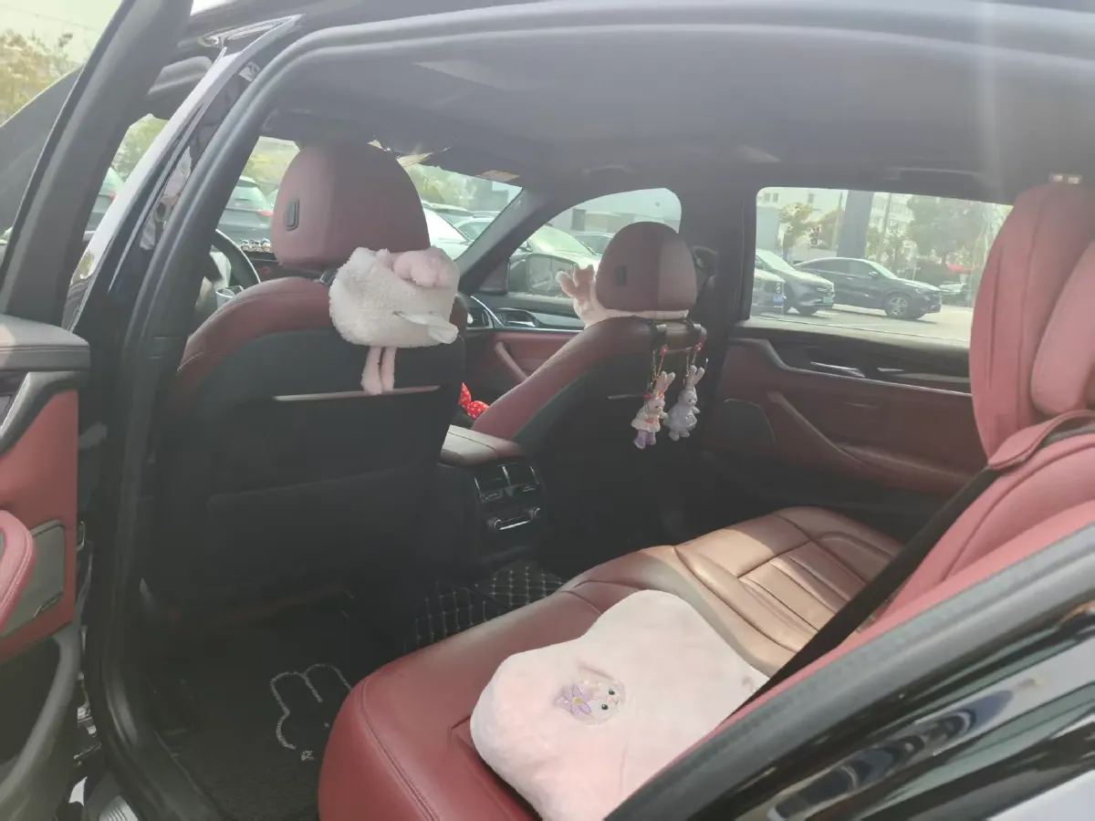 2020 BMW 5 Series 2.0T 252HP L4 8AT,autocango,china used car exporter,china ev exporter,chinese used car exporter,chinese used ev exporter