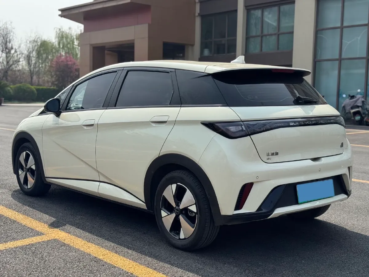 2023 BYD Dolphin BEV 44.928KWH,autocango,china used car exporter,china ev exporter,chinese used car exporter,chinese used ev exporter