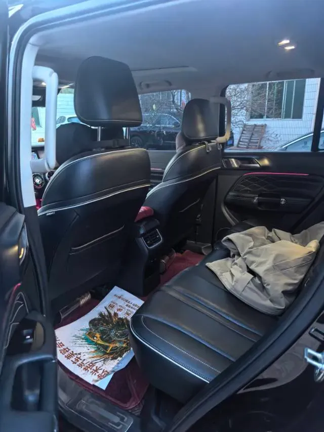 2021 Tank 300 2.0T 227HP L4 8AT,autocango,china used car exporter,china ev exporter,chinese used car exporter,chinese used ev exporter