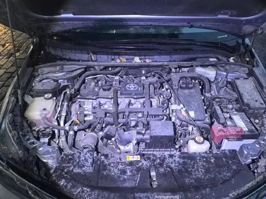 2021 Toyota Corolla 1.8L 98HP L4 E-CVT Hybrid,autocango,china used car exporter,china ev exporter,chinese used car exporter,chinese used ev exporter