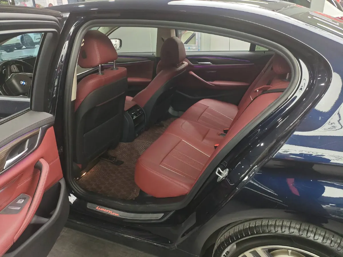 2021 BMW 5 Series 2.0T 252HP L4 8AT,autocango,china used car exporter,china ev exporter,chinese used car exporter,chinese used ev exporter