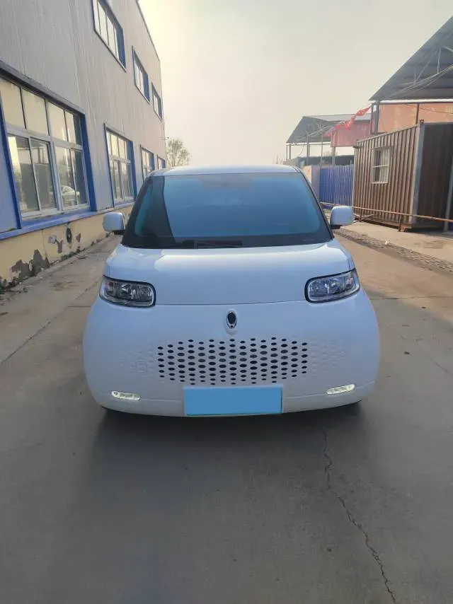 2020 Ora WhiteCat BEV 33KWH,autocango,china used car exporter,china ev exporter,chinese used car exporter,chinese used ev exporter