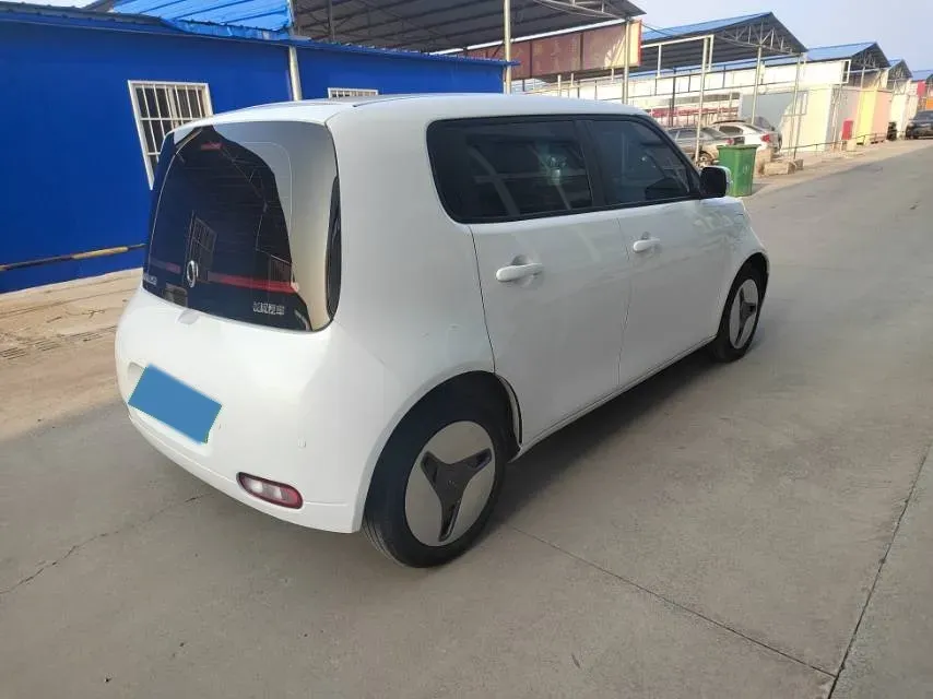 2020 Ora WhiteCat BEV 33KWH,autocango,china used car exporter,china ev exporter,chinese used car exporter,chinese used ev exporter