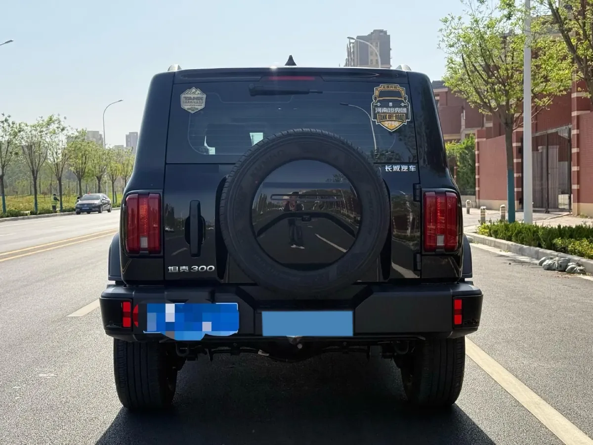 2024 Tank 300 2.0T 227HP L4 8AT,autocango,china used car exporter,china ev exporter,chinese used car exporter,chinese used ev exporter