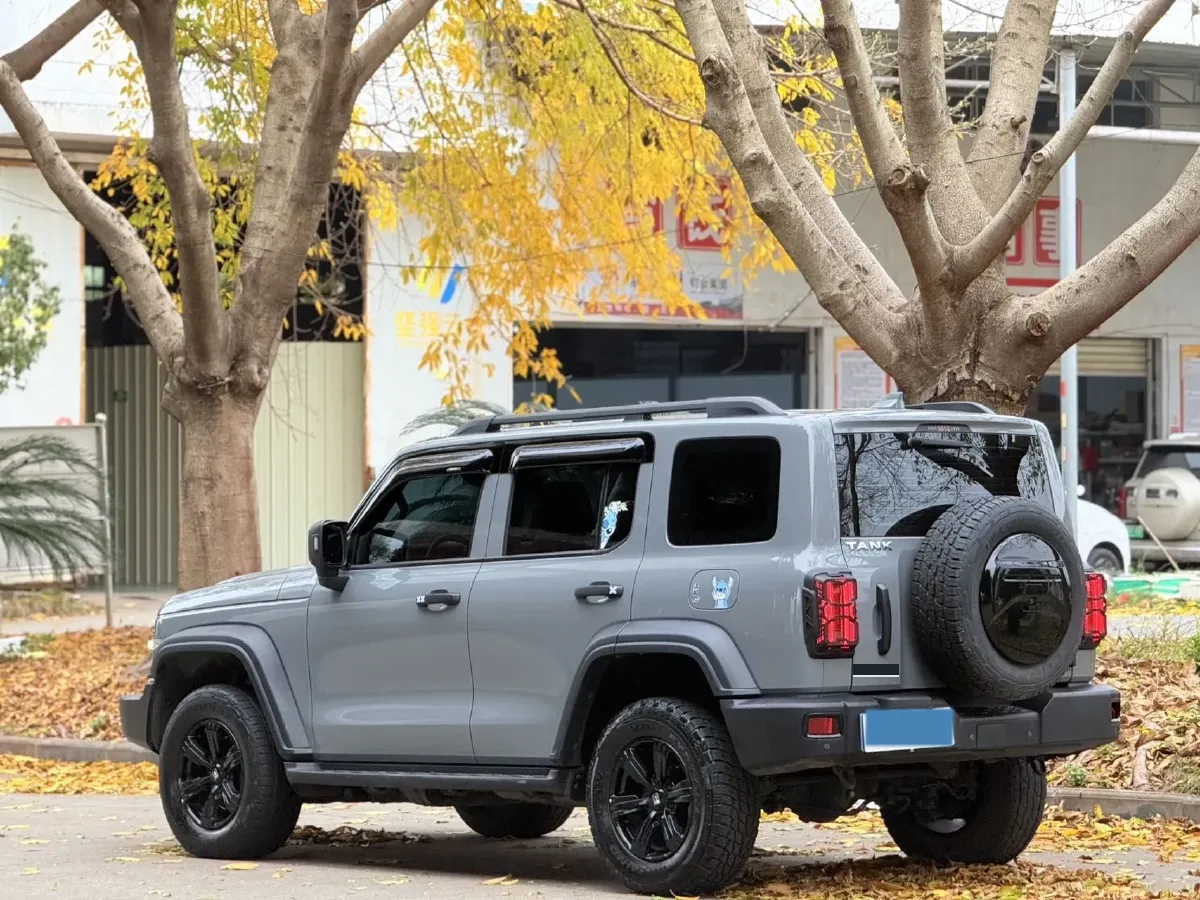 2021 Tank 300 2.0T 227HP L4 8AT,autocango,china used car exporter,china ev exporter,chinese used car exporter,chinese used ev exporter