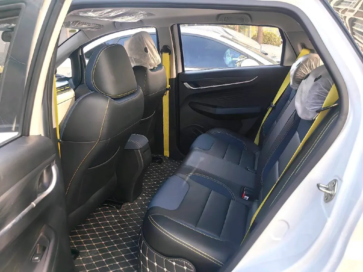 2021 Geometry EX3 BEV 37.23KWH,autocango,china used car exporter,china ev exporter,chinese used car exporter,chinese used ev exporter