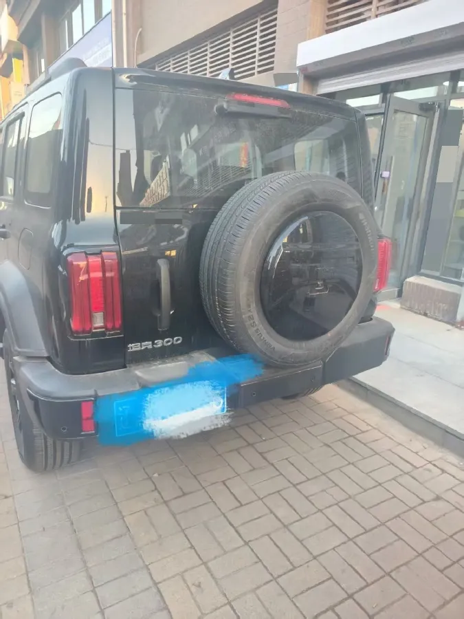 2024 Tank 300 2.0T 227HP L4 8AT,autocango,china used car exporter,china ev exporter,chinese used car exporter,chinese used ev exporter