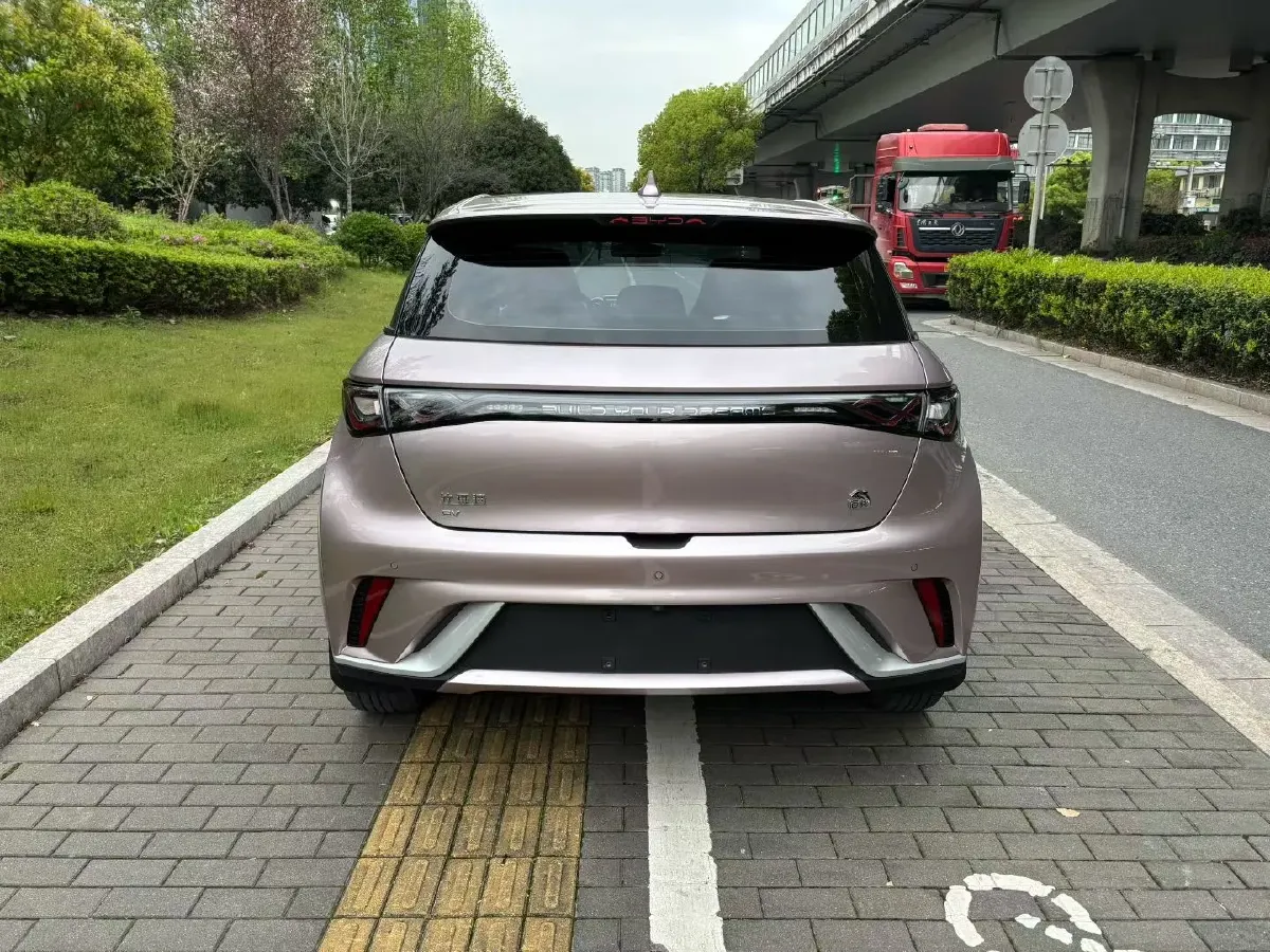 2021 BYD Yuan Pro BEV 50.1KWH,autocango,china used car exporter,china ev exporter,chinese used car exporter,chinese used ev exporter