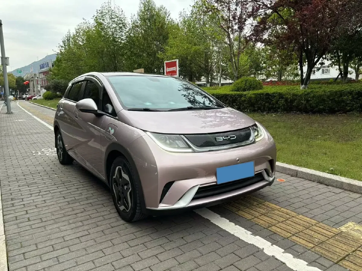 2021 BYD Yuan Pro BEV 50.1KWH,autocango,china used car exporter,china ev exporter,chinese used car exporter,chinese used ev exporter