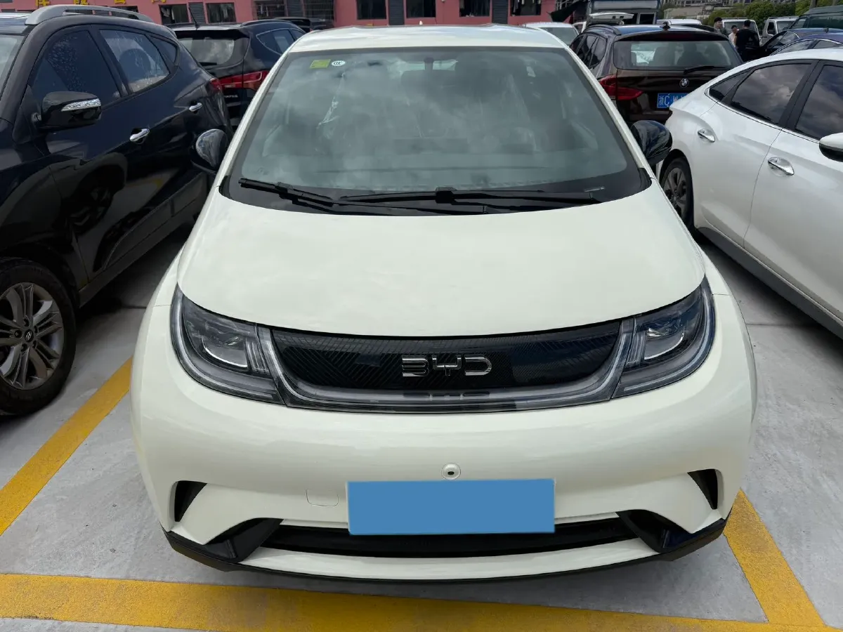 2025 BYD Dolphin BEV 44.928KWH,autocango,china used car exporter,china ev exporter,chinese used car exporter,chinese used ev exporter