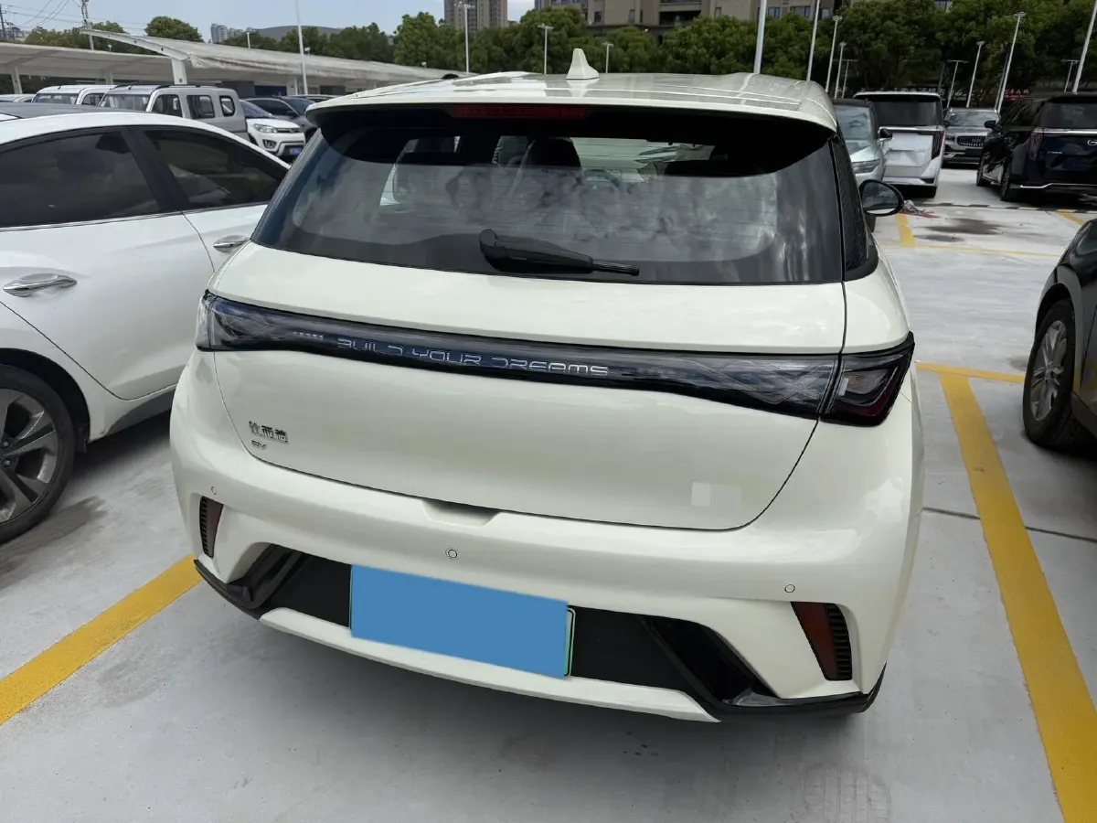 2025 BYD Dolphin BEV 44.928KWH,autocango,china used car exporter,china ev exporter,chinese used car exporter,chinese used ev exporter