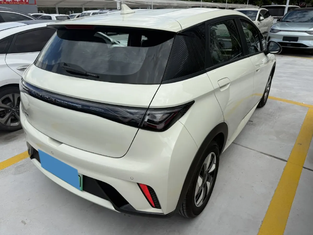 2025 BYD Dolphin BEV 44.928KWH,autocango,china used car exporter,china ev exporter,chinese used car exporter,chinese used ev exporter