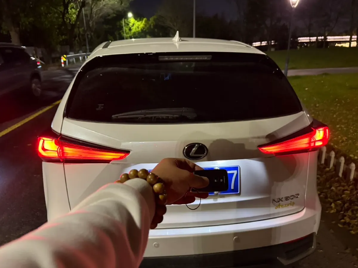 2018 Lexus NX 2.0L 150HP L4 CVT,autocango,china used car exporter,china ev exporter,chinese used car exporter,chinese used ev exporter