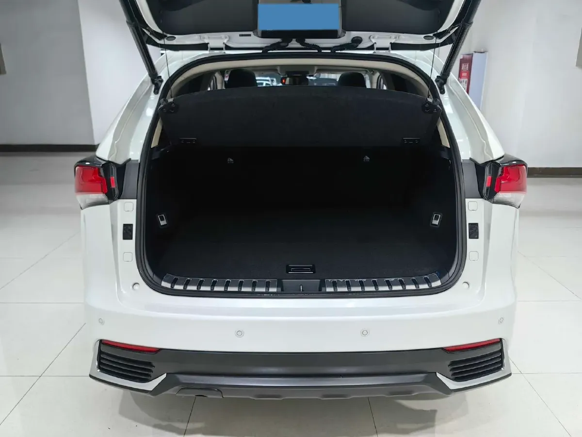 2018 Lexus NX 2.0L 150HP L4 CVT,autocango,china used car exporter,china ev exporter,chinese used car exporter,chinese used ev exporter