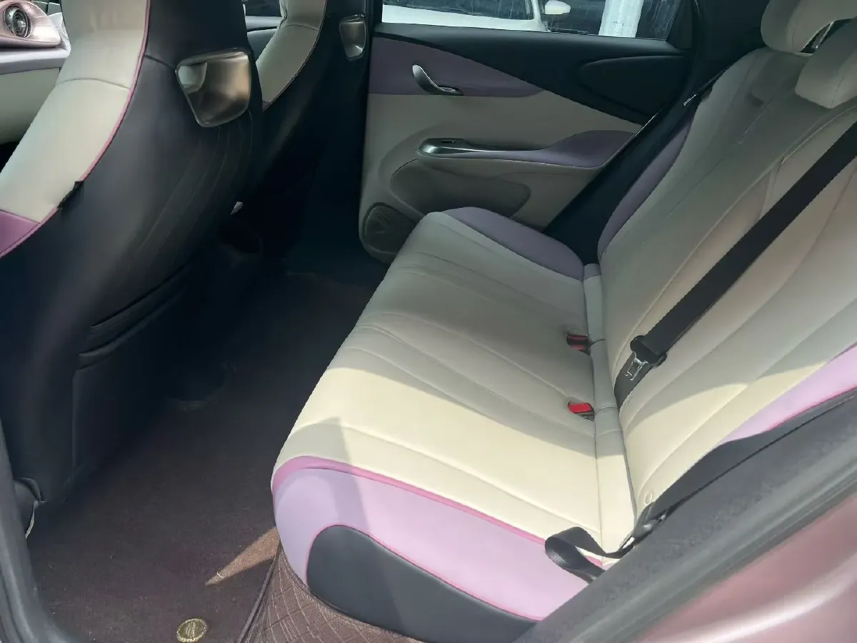 2021 BYD Yuan Pro BEV 50.1KWH,autocango,china used car exporter,china ev exporter,chinese used car exporter,chinese used ev exporter