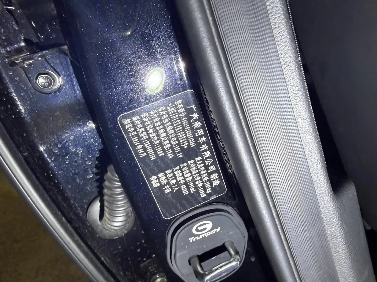 2024 GAC Trumpchi ES9 2.0T 190HP L4 2DHT PHEV 25.57KWH,autocango,china used car exporter,china ev exporter,chinese used car exporter,chinese used ev exporter