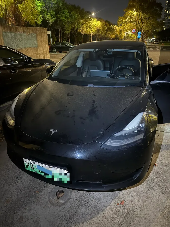 2020 Tesla Model 3 BEV 52KWH,autocango,china used car exporter,china ev exporter,chinese used car exporter,chinese used ev exporter