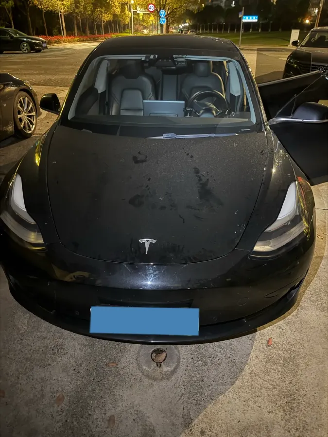 2020 Tesla Model 3 BEV 52KWH,autocango,china used car exporter,china ev exporter,chinese used car exporter,chinese used ev exporter