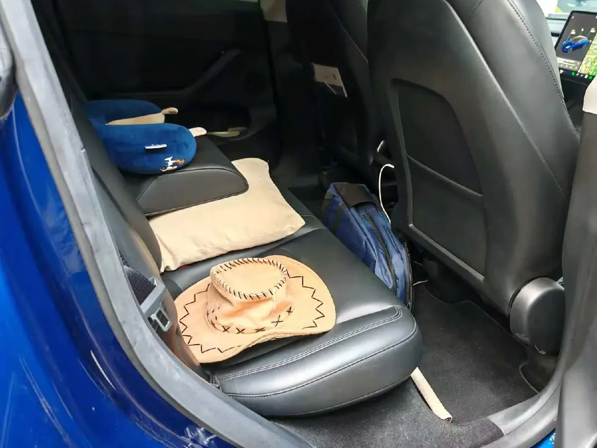 2021 Tesla Model 3 BEV 76.8KWH,autocango,china used car exporter,china ev exporter,chinese used car exporter,chinese used ev exporter