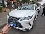 2020 Lexus RX 2.0T 231HP L4 6AT
