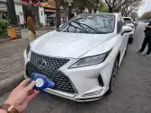 2020 LEXUS RX,autocango,china used car exporter,china ev exporter,chinese used car exporter,chinese used ev exporter