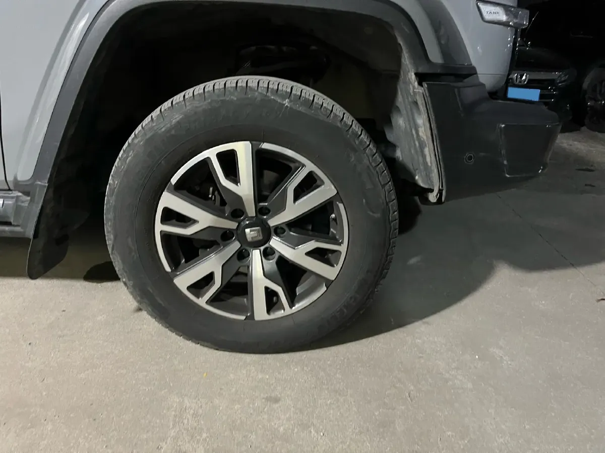 2023 Tank 300 2.0T 227HP L4 8AT,autocango,china used car exporter,china ev exporter,chinese used car exporter,chinese used ev exporter