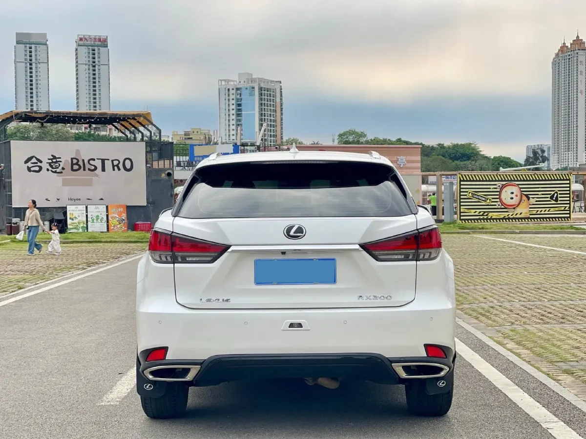 2020 Lexus RX 2.0T 231HP L4 6AT,autocango,china used car exporter,china ev exporter,chinese used car exporter,chinese used ev exporter