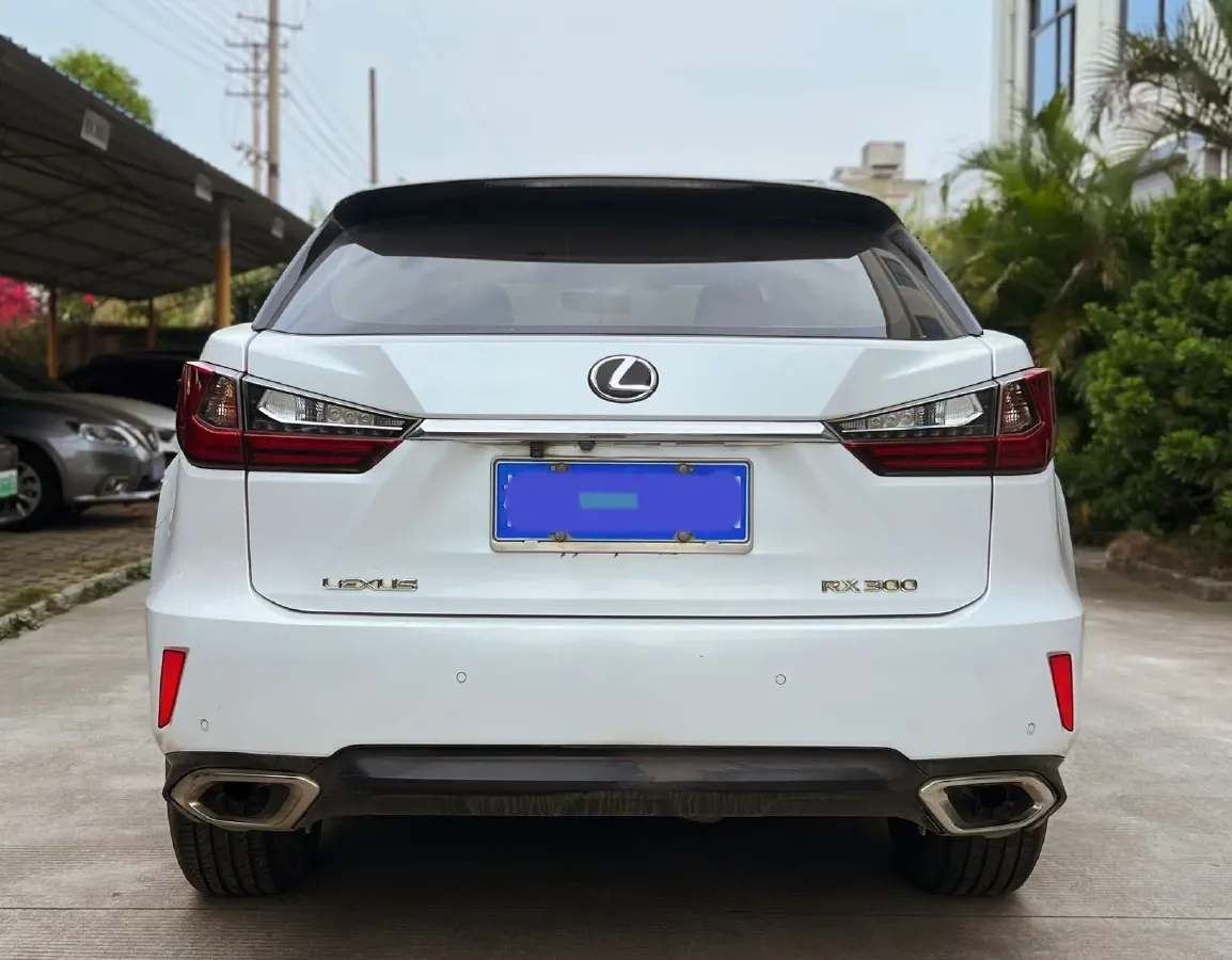 2016 Lexus RX 2.0T 238HP L4 6AT,autocango,china used car exporter,china ev exporter,chinese used car exporter,chinese used ev exporter