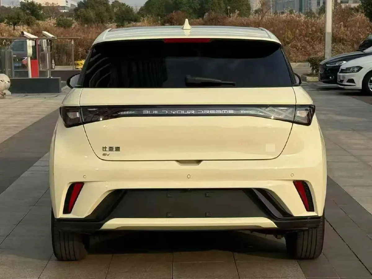 2024 BYD Dolphin BEV 44.928KWH,autocango,china used car exporter,china ev exporter,chinese used car exporter,chinese used ev exporter