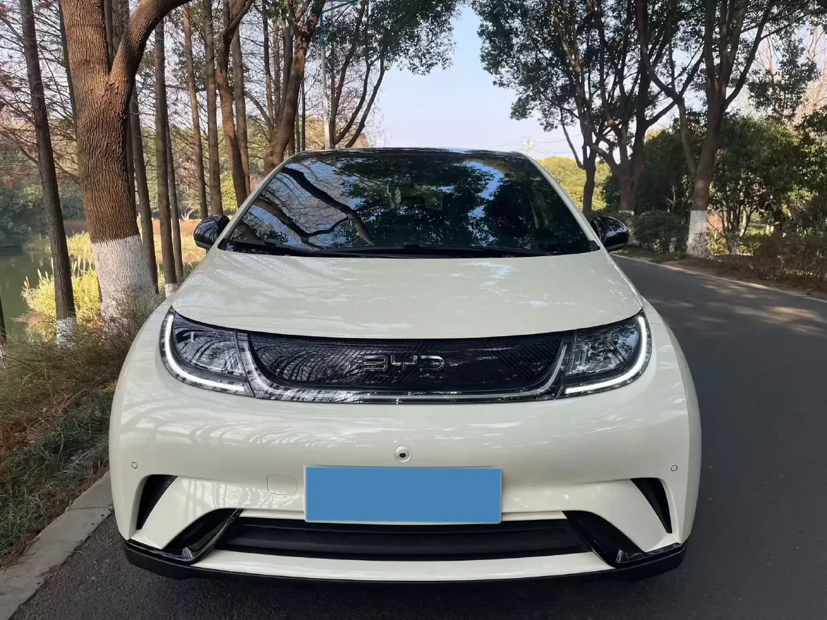 2024 BYD Dolphin BEV 44.928KWH,autocango,china used car exporter,china ev exporter,chinese used car exporter,chinese used ev exporter